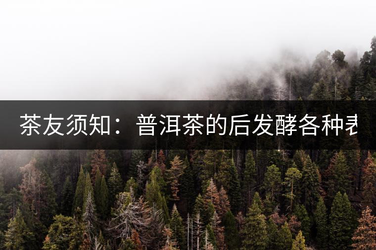 茶友須知：普洱茶的后發(fā)酵各種表現(xiàn) 喝普洱有益健康的奧妙所在！
