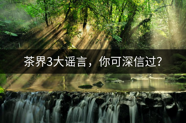 茶界3大謠言，你可深信過(guò)？