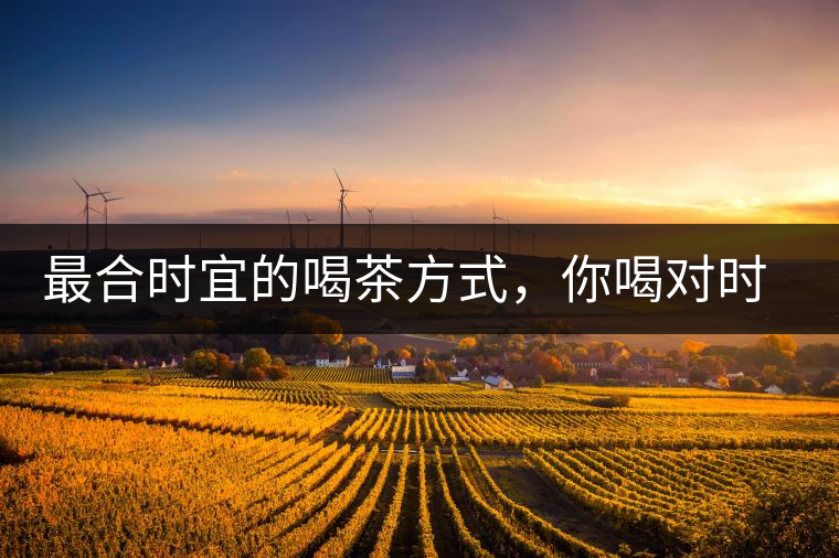 最合時宜的喝茶方式，你喝對時間了嗎？