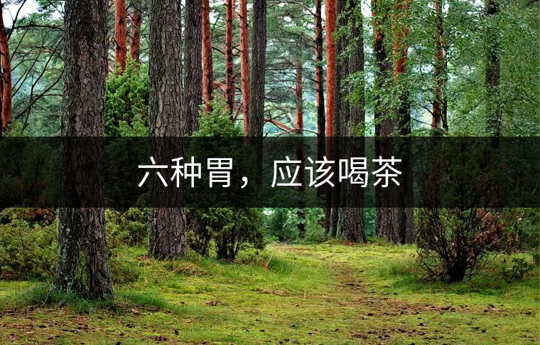 六種胃，應(yīng)該喝茶