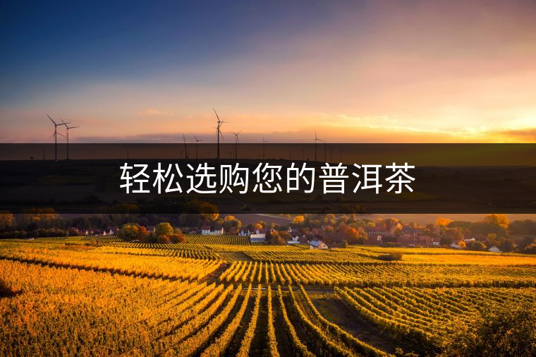 輕松選購您的普洱茶