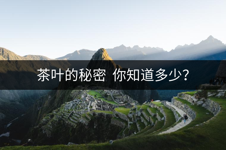 茶葉的秘密  你知道多少？
