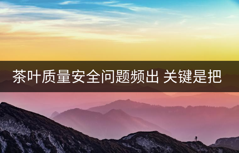 茶葉質(zhì)量安全問(wèn)題頻出 關(guān)鍵是把控源頭 茶葉質(zhì)量安全問(wèn)題頻出 關(guān)鍵是把控源頭