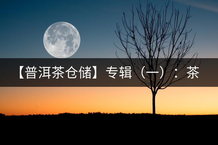 【普洱茶倉(cāng)儲(chǔ)】專(zhuān)輯(一):茶商倉(cāng)儲(chǔ)與家庭倉(cāng)的差異 【普洱茶倉(cāng)儲(chǔ)】專(zhuān)輯(一):茶商倉(cāng)儲(chǔ)與家庭倉(cāng)的差異