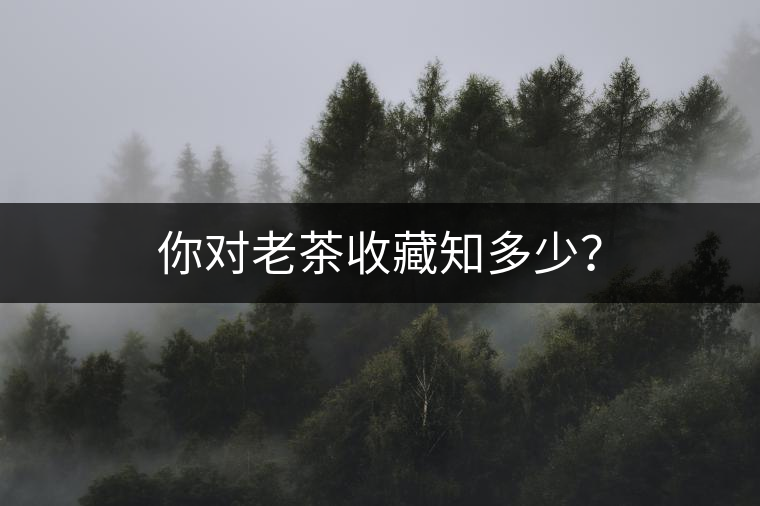 你對(duì)老茶收藏知多少？