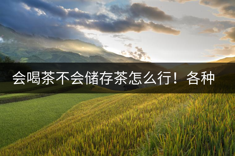 會喝茶不會儲存茶怎么行！各種存茶方法與技巧，把茶香留住