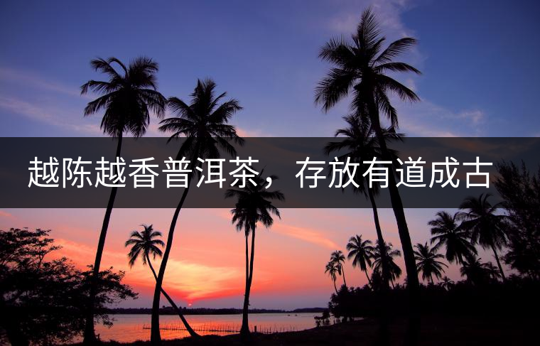 越陳越香普洱茶，存放有道成古董