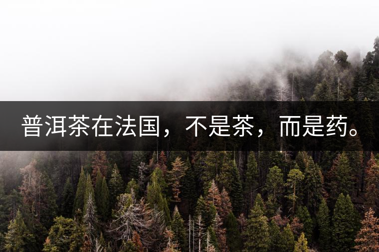 普洱茶在法國，不是茶，而是藥。