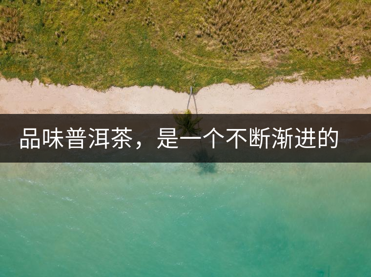 品味普洱茶，是一個不斷漸進的過程