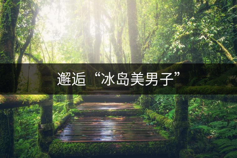 邂逅“冰島美男子”