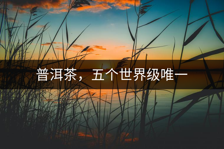 普洱茶，五個世界級唯一
