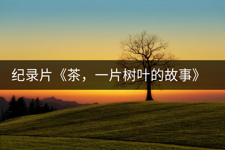 紀(jì)錄片《茶，一片樹葉的故事》 茶文化的詩(shī)意追尋
