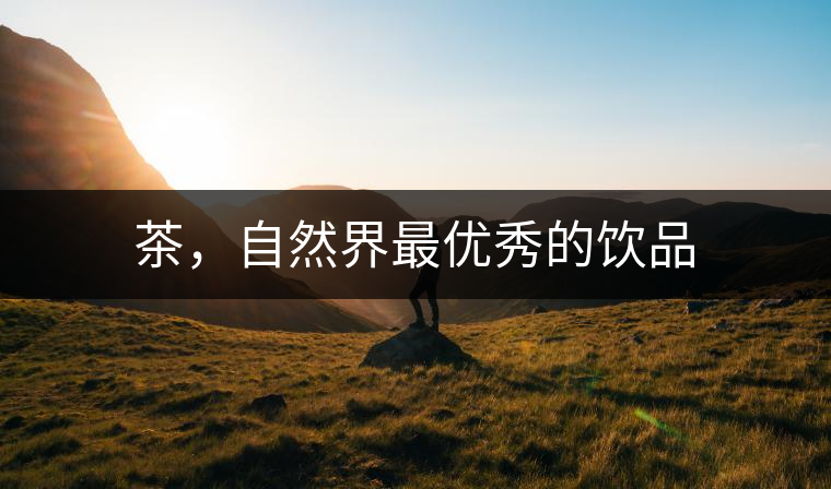 茶，自然界最優(yōu)秀的飲品