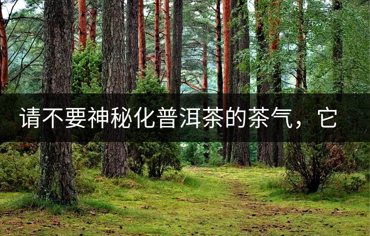 請(qǐng)不要神秘化普洱茶的茶氣，它是科學(xué)的存在