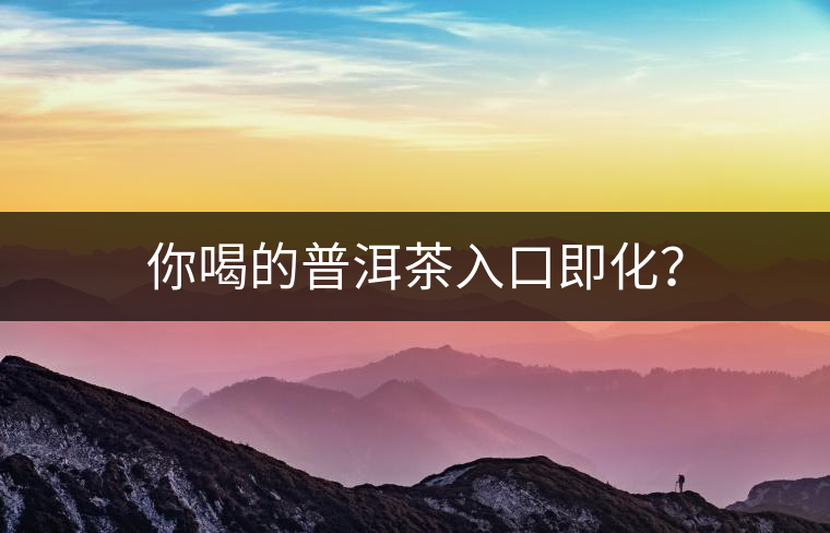 你喝的普洱茶入口即化？