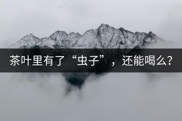茶葉里有了“蟲子”，還能喝么？