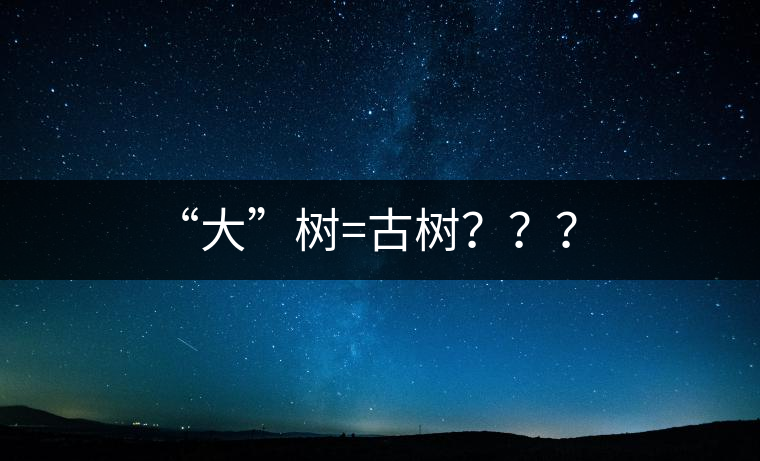 “大”樹=古樹？？？