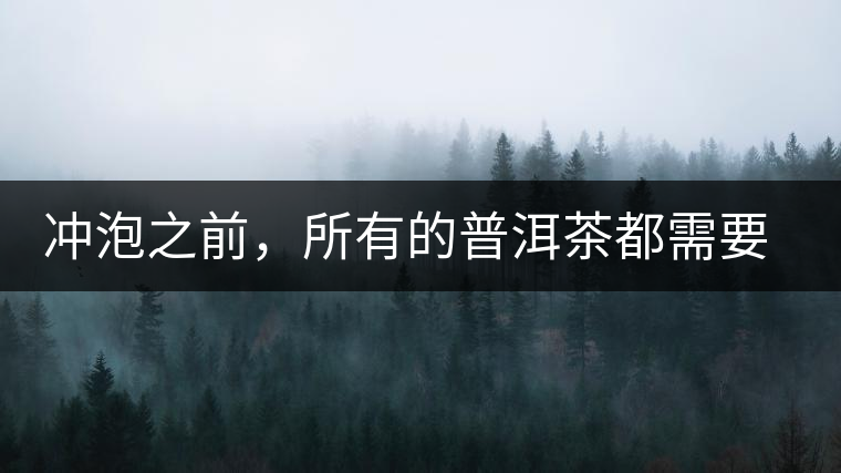 沖泡之前，所有的普洱茶都需要醒茶嗎？