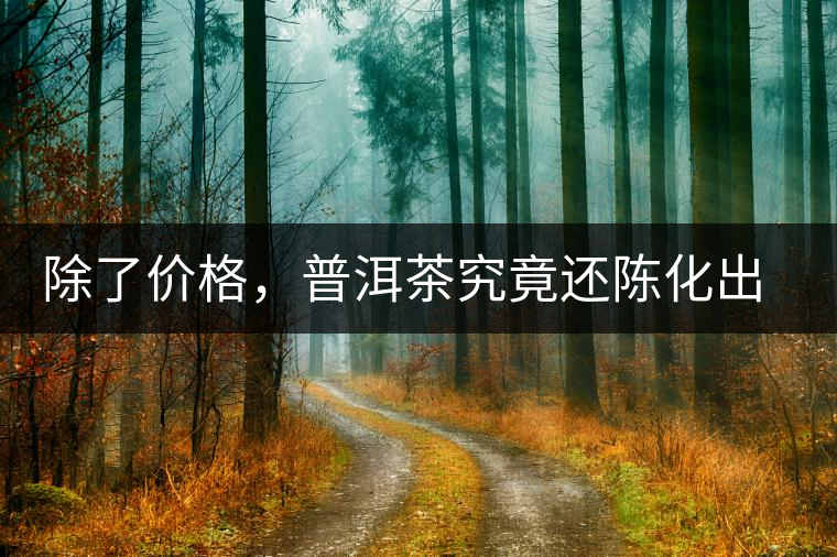 除了價格，普洱茶究竟還陳化出了啥？