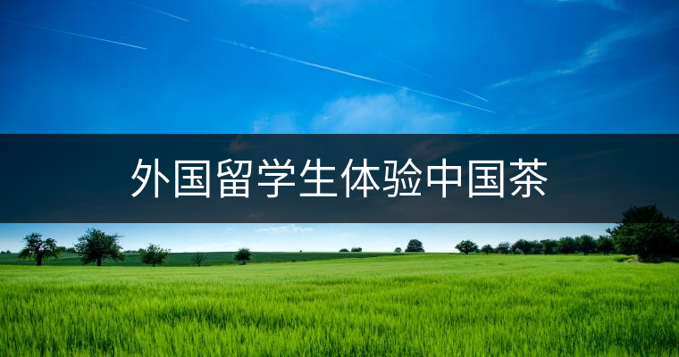 外國(guó)留學(xué)生體驗(yàn)中國(guó)茶 外國(guó)留學(xué)生體驗(yàn)中國(guó)茶