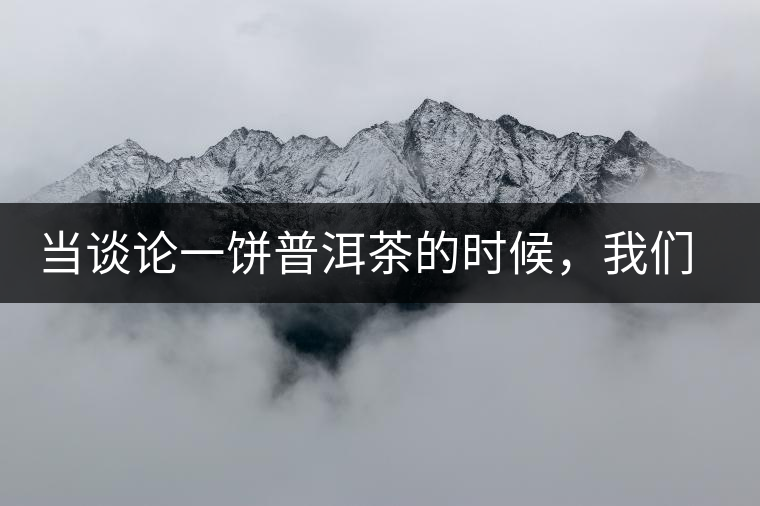 當談論一餅普洱茶的時候，我們該談些什么？