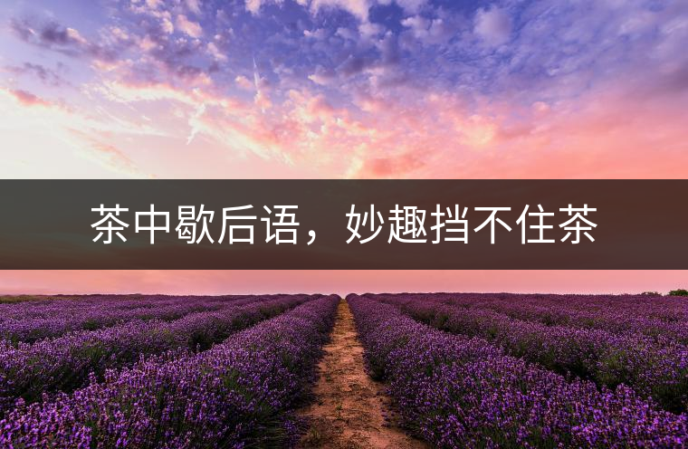 茶中歇后語(yǔ)，妙趣擋不住茶