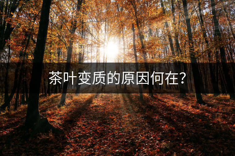 茶葉變質(zhì)的原因何在？