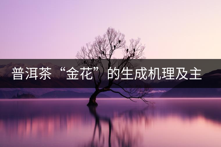 普洱茶“金花”的生成機(jī)理及主要特征 普洱茶“金花”的生成機(jī)理及主要特征