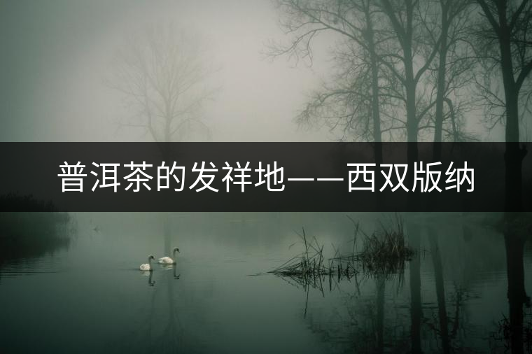 普洱茶的發(fā)祥地——西雙版納 普洱茶的發(fā)祥地——西雙版納