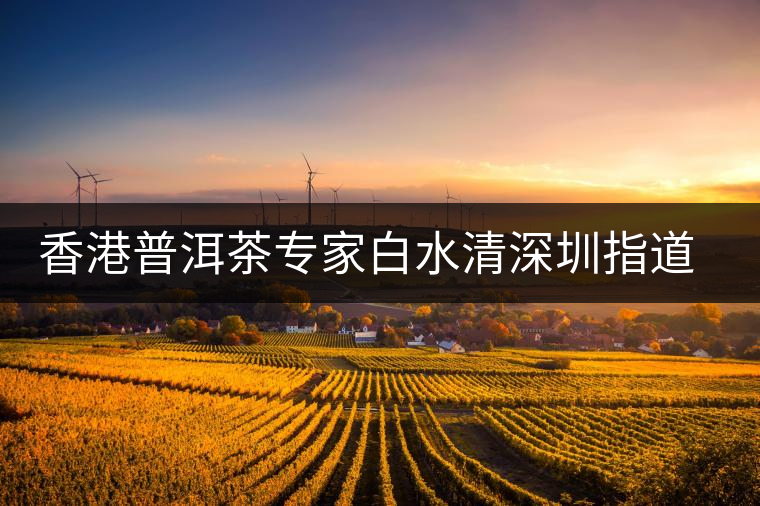 香港普洱茶專家白水清深圳指道普洱茶收藏 香港普洱茶專家白水清深圳指道普洱茶收藏