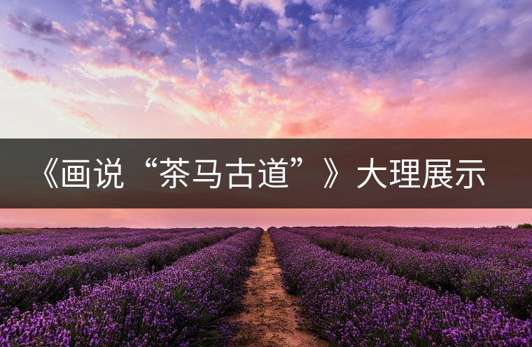 《畫說“茶馬古道”》大理展示昔日輝煌
