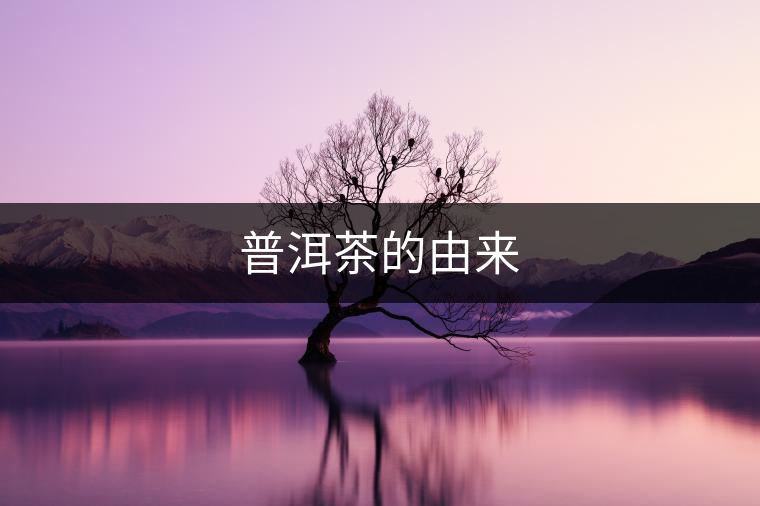 普洱茶的由來 普洱茶的由來