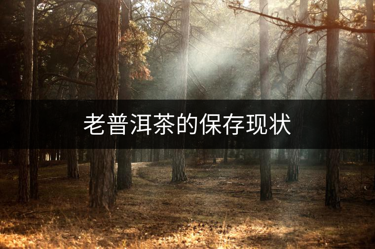 老普洱茶的保存現(xiàn)狀