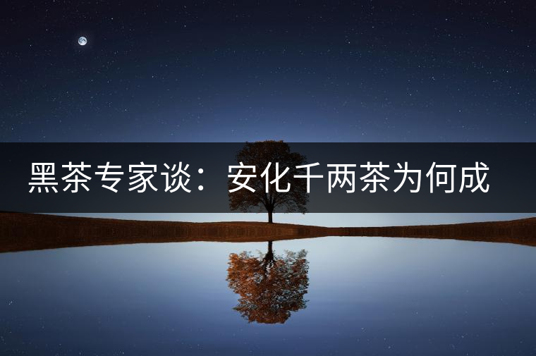 黑茶專家談：安化千兩茶為何成“世界茶王”？