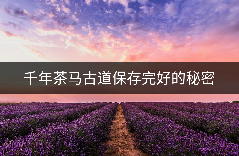 千年茶馬古道保存完好的秘密 千年茶馬古道保存完好的秘密