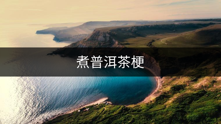 煮普洱茶梗 煮普洱茶梗