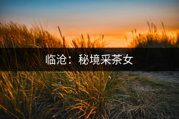 臨滄：秘境采茶女