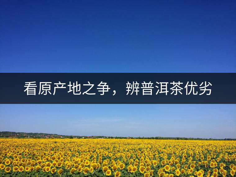 看原產(chǎn)地之爭(zhēng)，辨普洱茶優(yōu)劣