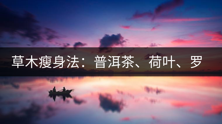 草木瘦身法：普洱茶、荷葉、羅漢果