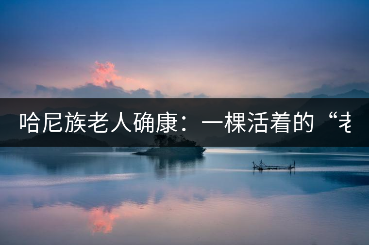 哈尼族老人確康：一棵活著的“老茶樹(shù)”