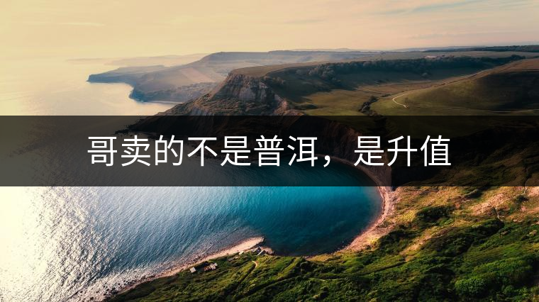 哥賣的不是普洱，是升值