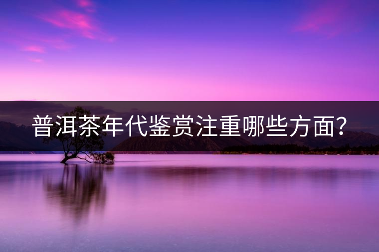 普洱茶年代鑒賞注重哪些方面？