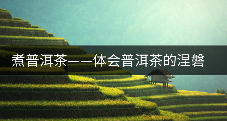 煮普洱茶——體會(huì)普洱茶的涅磐重生