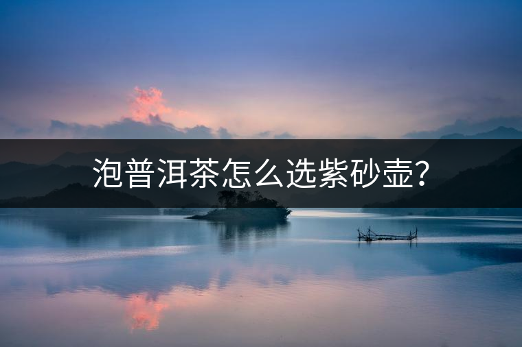 泡普洱茶怎么選紫砂壺？