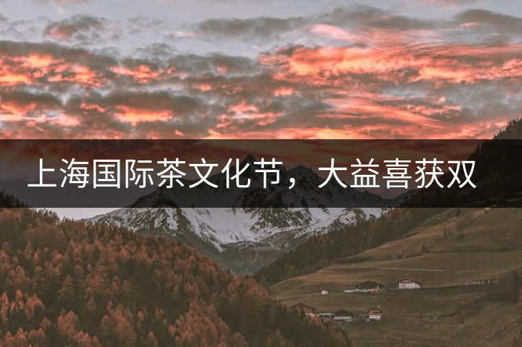 上海國際茶文化節(jié)，大益喜獲雙獎(jiǎng)
