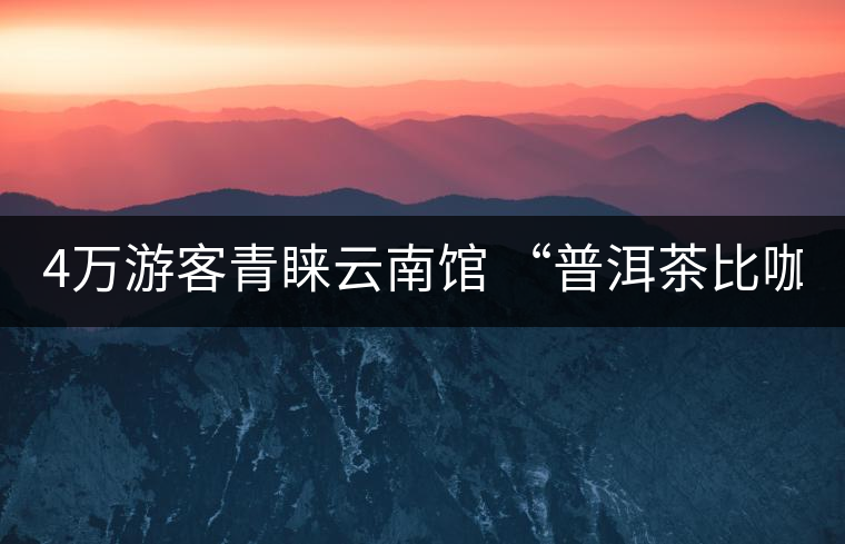 4萬游客青睞云南館 “普洱茶比咖啡good”