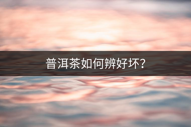 普洱茶如何辨好壞？