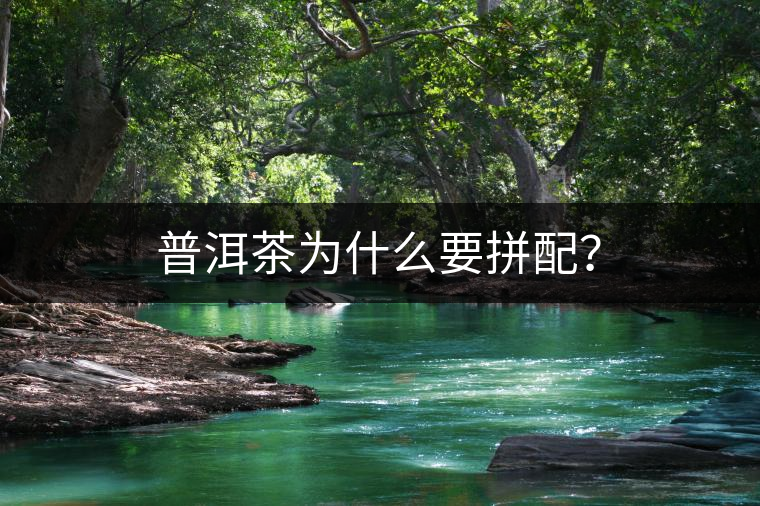 普洱茶為什么要拼配？