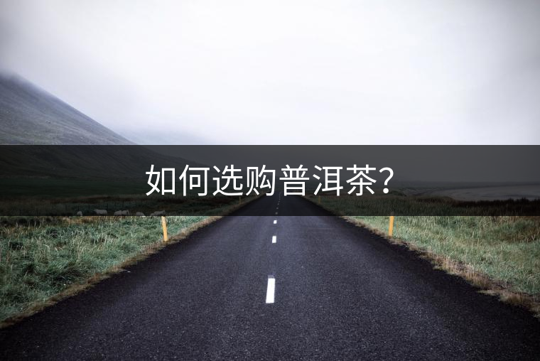 如何選購(gòu)普洱茶？