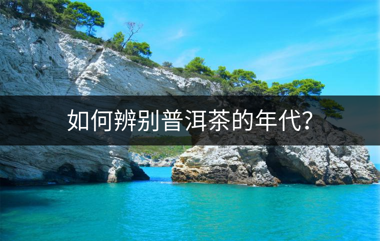 如何辨別普洱茶的年代？